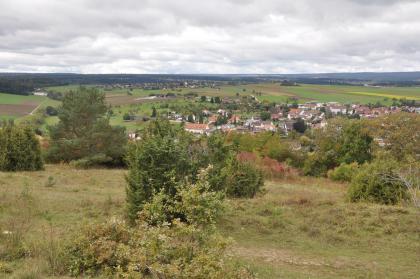 Blick vom Kapf bei Egenhausen nach Westen zum Buntsandstein-Schwarzwald Blick über einen von trockenem Gras sowie Bäumen und Sträuchern bedeckten Hügel. Der Hügel fällt zum Hintergrund hin ab. Dahinter öffnet sich eine weite flache Landschaft mit Äckern und Feldern. Am Horizont sind ausgedehnte Waldstreifen zu erkennen.