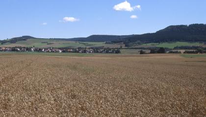 Ackerflächen mit Tonböden aus Gesteinen der Posidonienschiefer-Formation Das Bild zeigt in der Mitte leicht eingetiefte Acker- und Getreidefelder. Im Hintergrund - nach einer Siedlung links - steigt die Landschaft an; auf hügelige Nutzflächen folgen bewaldete Kuppen sowie rechts steile Höhenzüge.