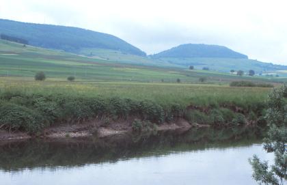 Die Donauaue bei Geisingen-Gutmadingen, rechts hinten der Fürstenberg Das Bild zeigt im Vordergrund ein teils unbewachsenes Flussufer mit angrenzender Wiese. Dahinter erhebt sich ein nach links ansteigender Hang mit Acker- und Grünflächen. Im Hintergrund sind weitere Erhebungen, deren Kuppen bewaldet sind.