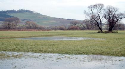 Donauaue und Wartenberg bei Geisingen-Gutmadingen Auf einer weiten, ebenen Grünlandfläche hat sich ein kleiner See gebildet. Auch im Vordergrund steht Wasser. Links im Hintergrund erhebt sich ein landwirtschaftlich genutzter, auf der Kuppe bewaldeter Hügel.