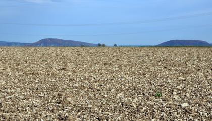 Ackerflächen im Oberen Muschelkalk bei Wutach-Münchingen Das Bild zeigt einen sehr steinigen, weißlich braunen Acker, der bis zum Horizont reicht. Dahinter zieht sich ein schmaler Grünstreifen, stehen einzelne Bäume und erheben sich zwei bewaldete Höhenzüge. Auch Stromleitungen und Windräder sind erkennbar.
