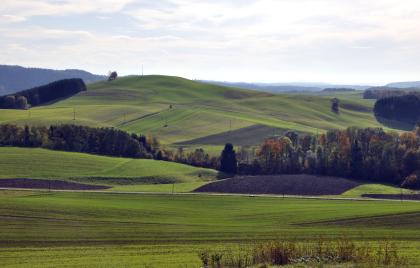 Der Hartbühl im Wutachgebiet bei Blumberg-Fützen Das Bild zeigt einen grünen, nach rechts abgeflachten Hügel mit Fahr- und Düngespuren. Am Fuß des Hügels ziehen sich Waldstreifen hin. Davor, zum Vordergrund hin, sind erst gewölbte, dann flache Grünland- und Ackerflächen zu sehen.