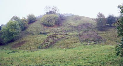 Der Kegelbuck im Krottenbachtal nordwestlich von Blumberg Das Bild zeigt eine links und mittig belaubte, gewölbte Hügelkuppe. Das streifige Grün des Hügels ist vor allem auf der rechten Seite nacktem Boden gewichen.
