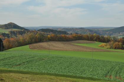 Das Wutachgebiet bei Blumberg – Blick vom Bühl bei Fützen nach Nordwesten Das Bild zeigt mehrere gewölbte Acker- und Grünlandflächen, die von einem herbstlich gefärbten Waldstreifen begrenzt werden. Im Hintergrund links ist die bewaldete Kuppe eines Hügels, mittig und rechts bewaldete Höhenzüge erkennbar.