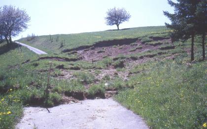 Hangrutschung im Unteren Muschelkalk bei Weilheim (Alb-Wutach-Gebiet) Auf diesem Bild sind Teile einer Hangwiese seitlich abgerutscht und haben dabei einen links vorbeiführenden Fahrweg unterbrochen.