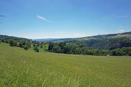 Landschaft am Rand des Südschwarzwalds bei Aichen (Lkr. Waldshut-Tiengen) Blick auf einen nach rechts abfallenden, von einem Weg begrenzten Wiesenhang. Dahinter sowie im Hintergrund folgen Wald und bewaldete Berghänge. Links der Bildmitte ist eine Ortschaft zu erkennen.