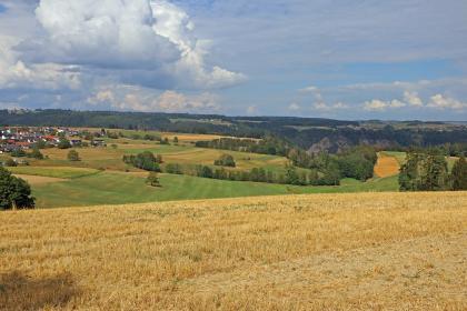 Landwirtschaftlich genutzte Hochfläche bei Nöggenschwiel mit dem Einschnitt des bewaldeten Schwarzatals und der felsigen Berauer Halde Blick über eine hochgelegene, abgeerntete Ackerfläche. Dahinter, tiefer, liegen weitere Äcker, Wiesen und Waldstücke. Im Hintergrund sind bewaldete Höhenzüge erkennbar.