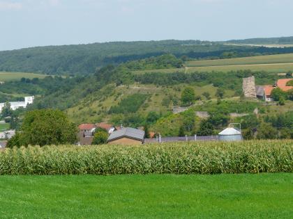 Das Bauland bei Hardheim-Schweinberg Über eine Grünfläche mit anschließendem Maisfeld blickt man auf zwei nach rechts ansteigende, teilweise bewaldete Hänge. Der vordere Hang zeigt Reste einer Burg.