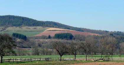 Farbenwechsel am Übergang vom Unteren Muschelkalk zum Oberen Buntsandstein – Blick über das Taubertal bei Werbach nach Westen zum Kahlberg Auf einen flachen, aus Acker- und Grünland bestehenden und von teils kahlen Bäumen gesäumten Streifen folgt ein nach links ansteigender, am Fuß sowie auf der Kuppe bewaldeter Hang. Die Äcker dazwischen sind teilweise rötlich braun gefärbt.