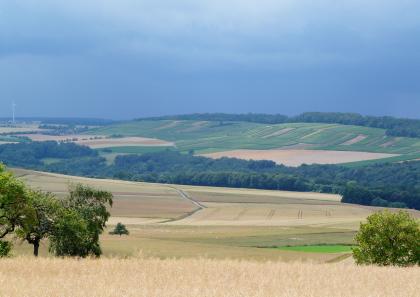 Blick vom Rand des Muschelkalkgebiets bei Külsheim-Uissigheim nach Nordwesten über das in den Oberen Buntsandstein eingetiefte Amorbachtal auf einen isolierten Muschelkalkrücken mit Weinbergshängen Unter einem Gewitterhimmel breiten sich Waldstreifen, Weinberghänge sowie Ackerflächen aus. Zum Vordergrund hin folgen weitere, nach links und zum Betrachter hin ansteigende Äcker.