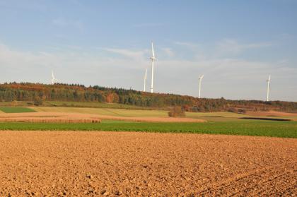 Ackerflächen auf Lösslehm-Parabraunerden nordöstlich von Buchen Das Bild zeigt orangerote, vielleicht am Abend fotografierte Acker- und Getreidefelder. Dazwischen liegen Grünstreifen. Im Hintergrund steigt das Gelände leicht an und ist bewaldet. Auch Windkrafträder sind zu sehen.