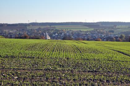 Im Vordergrund sieht man einen welligen, vertikal und horizontal gebahnten Acker mit frischem Pflanzenwuchs. Dahinter liegt in einer Mulde eine Siedlung; darüber ein Hang mit weiteren Äckern und Wald.