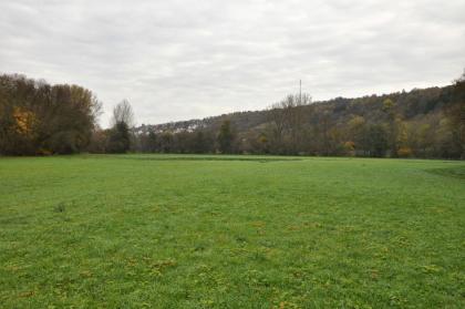 Durch Grünland genutzte ebene Talaue der Tauber bei Weikersheim Das Bild zeigt im Vordergrund eine flache grüne Wiese mit angrenzendem Wald sowie einem bewaldeten, nach rechts ansteigenden Hang im Hintergrund.