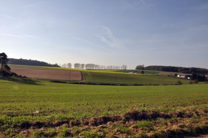 Flachwellige Gäulandschaft bei Weikersheim-Neubronn Das Bild zeigt flach gewellte, zumeist grüne Ackerflächen, die zur Bildmitte hin eine Mulde bilden. Die Rücken links und rechts sind bewaldet.