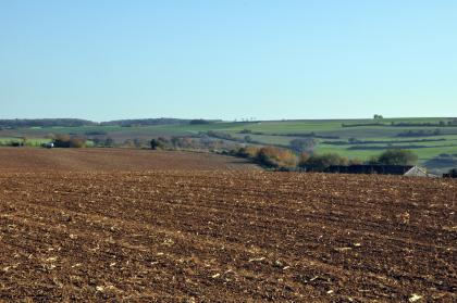 Zertalte Gäufläche im Tauberland bei Weikersheim-Laudenbach Blick auf dunkelbraune, gewellte Ackerflächen, an die sich rechts ein flacher, von mehreren Heckenstreifen durchzogener grüner Hang anschließt.