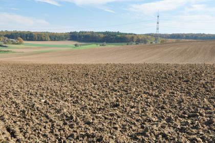 Von Lösslehm bedeckte Bauland-Gäufläche östlich von Elztal-Dallau Das Bild zeigt im Vordergrund flache, dahinter gewellte, vorwiegend hellbraune Ackerflächen. Im Hintergrund schließen sich Waldgebiete an.
