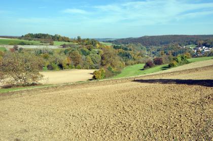 Blick über ein Seitentälchen des Schefflenztals bei Billigheim-Allfeld nach Nordosten Das Bild zeigt einen nach links abfallenden, sehr hellen Ackerboden im Vordergrund. Dahinter erhebt sich links ein von Bäumen durchsetzter, flacher Hang, rechts im Hintergrund sind eine Siedlung sowie bewaldete Höhen erkennbar.