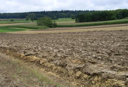 Ackerboden in der Unteren Süßwassermolasse bei Ehingen-Altsteußlingen (Pararendzina) Blick auf einen gelblich grauen, grobscholligen Acker, der leicht nach rechts ansteigt. Im Hintergrund ein landwirtschaftlich genutzter flacher Hang mit Waldinseln.