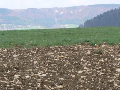 Steinige Ackerböden auf Karbonatgestein der Unteren Felsenkalk-Formation Über einen sehr steinigen Ackerboden und einer angrenzenden Grünfläche blickt man auf steile, mit Felsen durchsetzte, besiedelte und bewaldete Anhöhen.