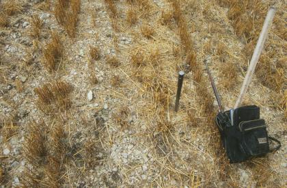 Steiniger Ackerboden aus Hangschutt am Unterhang der Baaralb-Schichtstufe bei Geisingen Nahaufnahme eines steinigen Ackerbodens mit abgeernteten, gebleichten Pflanzenresten. Bohrstock und Maßband zeigen das Größenverhältnis.