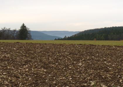 Steinige Ackeroberfläche mit Rendzinen aus Mergelkalksteinen im Niveau der Zementmergel-Formation östlich von Tuttlingen Das Bild zeigt einen hochgelegenen, sehr steinigen braunen Acker mit anschließendem Grünstreifen. Dahinter steigt rechts ein Waldrücken aus der Tiefe auf. Noch weiter entfernt sind gestaffelte Höhenzüge erkennbar.