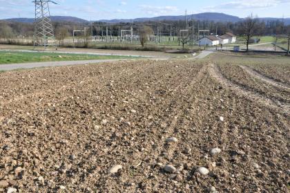 Kiesige Ackeroberfläche an der Niederterrassenkante westlich von Schwörstadt Blick auf einen zum Hintergrund hin abfallenden, kiesigen hellbraunen Acker. Im Hintergrund, vor Bergen und einem Waldstreifen, steht ein Umspannwerk.
