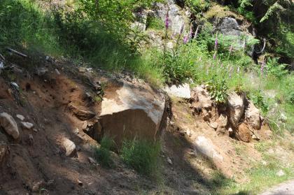 Bodenaufschluss im Triberger Granit Das Bild zeigt einen nach links ansteigenden Hang, der im unteren Teil von größeren Felsbrocken durchsetzt ist. Braunes Bodenmaterial hat die Felsen teilweise überdeckt. Oberhalb der Felsen ist Pflanzenbewuchs und dahinter weiteres Felsgestein erkennbar.