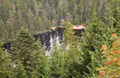 Blick vom Seekopf nach Osten ins Wildseekar Über die Wipfel von Nadelbäumen blickt man hinunter auf einen See. Das Ufer links ist von dichtem Wald begrenzt. Am hinteren Ufer, rechts der Bildmitte, ist eine kleine Freifläche erkennbar. Dahinter steht ebenfalls Wald.