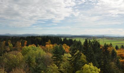 Vom Aussichtsturm bei Villingen blickt man nach Südosten zur Baaralb und über das vorgelagerte Stufenland der Baar Hinter den Wipfeln von Laub- und Nadelbäumen eines Waldes zeigt sich rechts eine flachhügelige Landschaft mit Wiesen und Äckern. Im Hintergrund liegen Waldstreifen sowie abgestufte, bewaldete Berge.