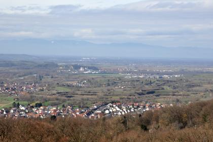 Blick vom Eichbergturm nach Nordwesten in die Rheinebene nördlich des Kaiserstuhls Blick von erhöhtem Standort auf eine teils terrassierte Ebene mit verstreuten Siedlungen. Links hinten steigt ein bewaldeter Hügel auf, mit einer offenen Lösswand. In der dunstigen Ferne ist gerade noch eine Bergkette zu erkennen.