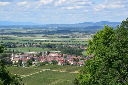 Vom Turm auf dem Castellberg blickt man über die flachen von Löss bedeckten Hügel bei Ballrechten nach Nordwesten in die Oberrheinebene, zu den Vogesen und zum Kaiserstuhl An Baumspitzen vorbei blickt man auf ein flachhügeliges Gelände mit Reben, Wiesen, Äckern, Bäumen und Ortschaften. Im Hintergrund erheben sich ein nach rechts aufsteigender langer Bergrücken sowie ein flacher bewaldeter Hügel.