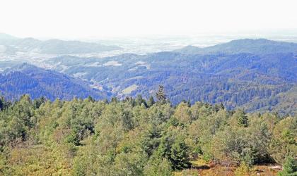 Blick aus großer Höhe über einen Waldgürtel. Im Mittel- und Hintergrund folgen bewaldete Berge, eingeschnittene Täler und schließlich eine weite flache Ebene.