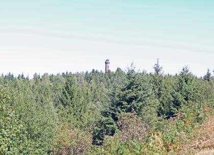 Blick auf den Moosturm bei Oberkirch von Süden Aus einiger Entfernung blickt man auf einen hochliegenden Wald. Im Mittelpunkt, über die Spitzen der Bäume, ragt ein steinerner Aussichtsturm heraus.