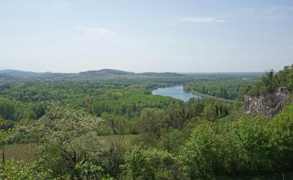 Blick vom Limberg bei Sasbach am Kaiserstuhl in südliche Richtung auf die Rheinaue sowie den Haberberg und Humberg westlich von Jechtingen Blick von erhöhtem Standort auf eine weite Waldlandschaft mit kleineren Bergen im Hintergrund. Rechts vorne ist ein Felsplateau zu sehen, dahinter verläuft im Bogen ein breiter Fluss. Links unten sind Rebterrassen zu erkennen.