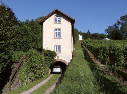 Unterer, nördlicher Förderstollen des Steinbruchs mit Verwaltungsgebäude, heute Wohnhaus Im Mittelpunkt dieses Fotos steht ein schmales, an einem Hang gelegenes hohes Gebäude, an dessen Fuß sich ein bogenförmiger Tunnel öffnet. Links des Hauses stehen Bäume, rechts ziehen sich Reben den Hang hinauf. Vor dem Haus verläuft ein Zufahrtsweg.