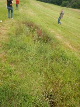 Längliche Erdfallbildung (Erdfallkette) Blick auf eine längliche Erdfallbildung im Vordergrund, auf einer nach links abfallenden Wiese.