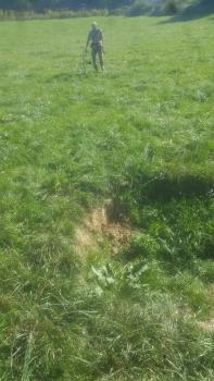 Erdfall Das Bild zeigt eine größere Bodenvertiefung auf einer Wiese. Unterhalb der Bildmitte verläuft die sichtbare linke Wand der Vertiefung als flache Stufe. Nach rechts hin ist der Boden der Senke von Pflanzen bedeckt und zudem vom Bildrand abgeschnitten.