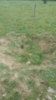 Senke in Lösssedimenten Blick auf eine große schüsselförmige Bodenvertiefung auf einer Wiese. Der Boden der Senke ist von ausgebleichter hellbrauner Farbe. Vereinzelt wachsen Grasbüschel darin.