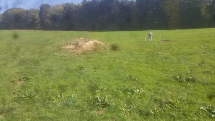 Erdfallkette Blick auf eine flache, zur Mitte leicht geneigte Wiese mit mehreren Erdfällen auf der linken Seite. Auch aufgeworfenes, einen Rücken bildendes Erdreich ist zu sehen. Rechts ist ein weiteres Erdloch zu erkennen. Dahinter steht Wald.