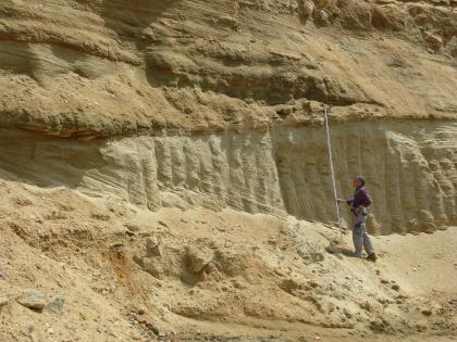 Quarzsande des jungtertiären Grobsandzugs Blick auf eine gelblich braune, feinkörnige Gesteinswand, die durch säulenförmige Bildungen in der Bildmitte unterbrochen wird. Rechts hält ein Mann in Arbeitskleidung eine Messlatte hoch.