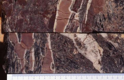 Übergang von stark verkieselten Tuffen des Heubergs in von Quarzgängen durchzogenen, verkieselten Paragneisen der Steinach-Formation. Querschnitt von zwei aufeinanderliegenden Gesteinsproben, die in Farbe und Maserung (violettgrau, rotbraun und weiß) einem Schwarzwälder Speck ähneln (Kruste, Fleisch- und Fettanteil).