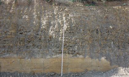 Kalksteine der Jena-Formation aus dem Unteren Muschelkalk im Steinbruch Külsheim-Eiersheim Teilansicht einer hohen Steinbruchwand. Unten ist ein breiter, glatter Streifen von hellbraunem Gestein sichtbar. Das Gestein darüber sieht eher wie lose aufgeschichtet aus und ist graubraun gefärbt.