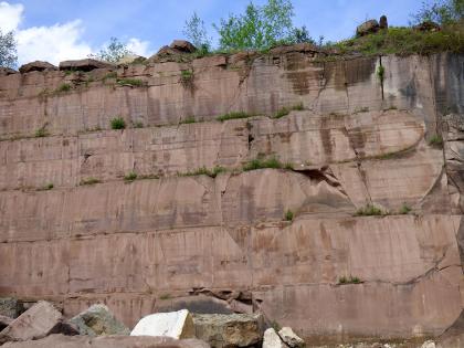 8 ‒ 10 m hohe Schilfsandsteinwand im Steinbruch Maulbronn Blick auf eine hohe, rötlich graue Steinbruchwand. Das Gestein ist in mehreren Lagen blockhaft aufgeschichtet, mit fast glatter, leicht streifiger Oberfläche. Unten links liegen lose Blöcke. Die Kuppe oben ist bewachsen.