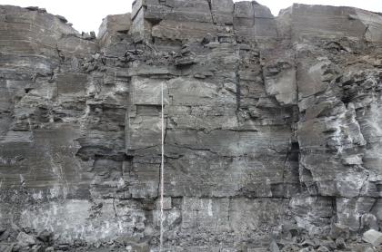 Abbauwand in den Grundgipsschichten Blick auf die zerklüftete Abbauwand eines Steinbruches mit hellgrauen Stellen unten und rechts am Bildrand. Im übrigen Teil des Bildes dominiert dunkelgraues Gestein. Links der Bildmitte ist eine Messlatte angelehnt.