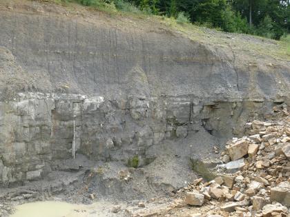 Das Bild zeigt eine etwa 3 Meter hohe, graue und gelbliche Abbauwand mit Abraum aus Tonmergeln und Sandsteinbänken.