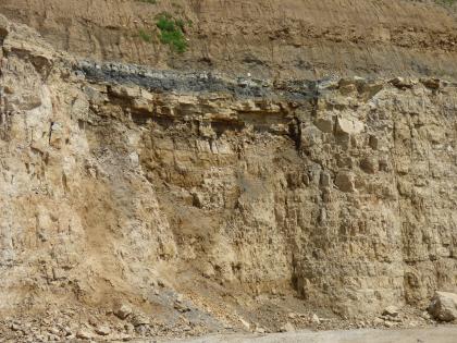 Gebankte Dolomitsteine des Trigonodusdolomits. Blick auf eine Steinbruchwand aus gebanktem, gelblichen Gestein.