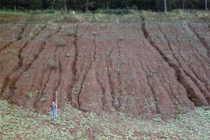 Südliche Abbauwand der Tongrube Maulbronn-Zaisersweiher Blick auf eine hohe, zum Hintergrund hin ansteigende Abbauwand in einer Tongrube. Die rötlich graue, an eine Gletscherzunge erinnernde Gesteinswand ist von zahlreichen, senkrecht verlaufenden Rissen und Spalten durchzogen.