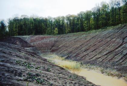 Südöstliche Abbauwand in der Tongrube Maulbronn-Zaisersweiher Das Foto zeigt hufeisenförmig angelegte rötlich graue Abbauwände einer Tongrube. Die seitlichen Wände steigen jeweils schräg zu den Bildrändern hin an. In der flachen, schmalen Mulde zwischen den Wänden steht Wasser. Die Kuppe oben ist bewaldet.