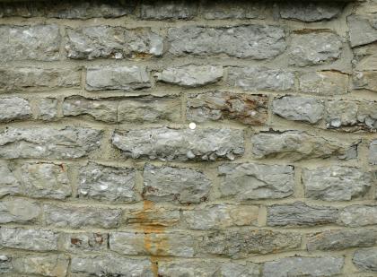 Detailaufnahme aus einer Arietenkalkmauer Ansicht einer grünlich grauen Steinmauer mit unregelmäßig geformten Steinen, in die teilweise Austernschalen eingelassen sind. Eine kleine Münze zeigt die Größenverhältnisse an.