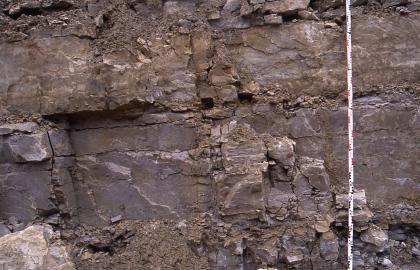 Detail der unteren 3 m der untersten Abbausohle im Steinbruch Rheinfelden-Karsau. Detail der unteren 3 m der untersten Abbausohle im Steinbruch Rheinfelden-Karsau.